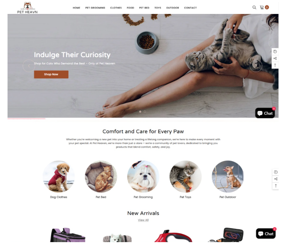 Shopify Website Designing Expert